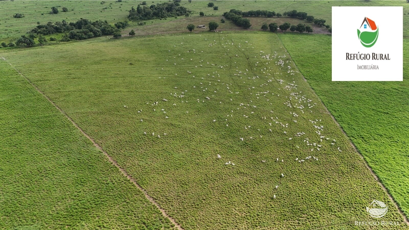 Fazenda à venda com 1 quarto, 22310000m² - Foto 5