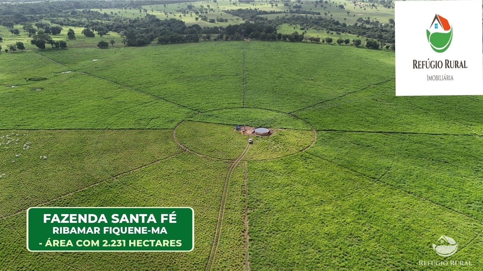 Fazenda à venda com 1 quarto, 22310000m² - Foto 10