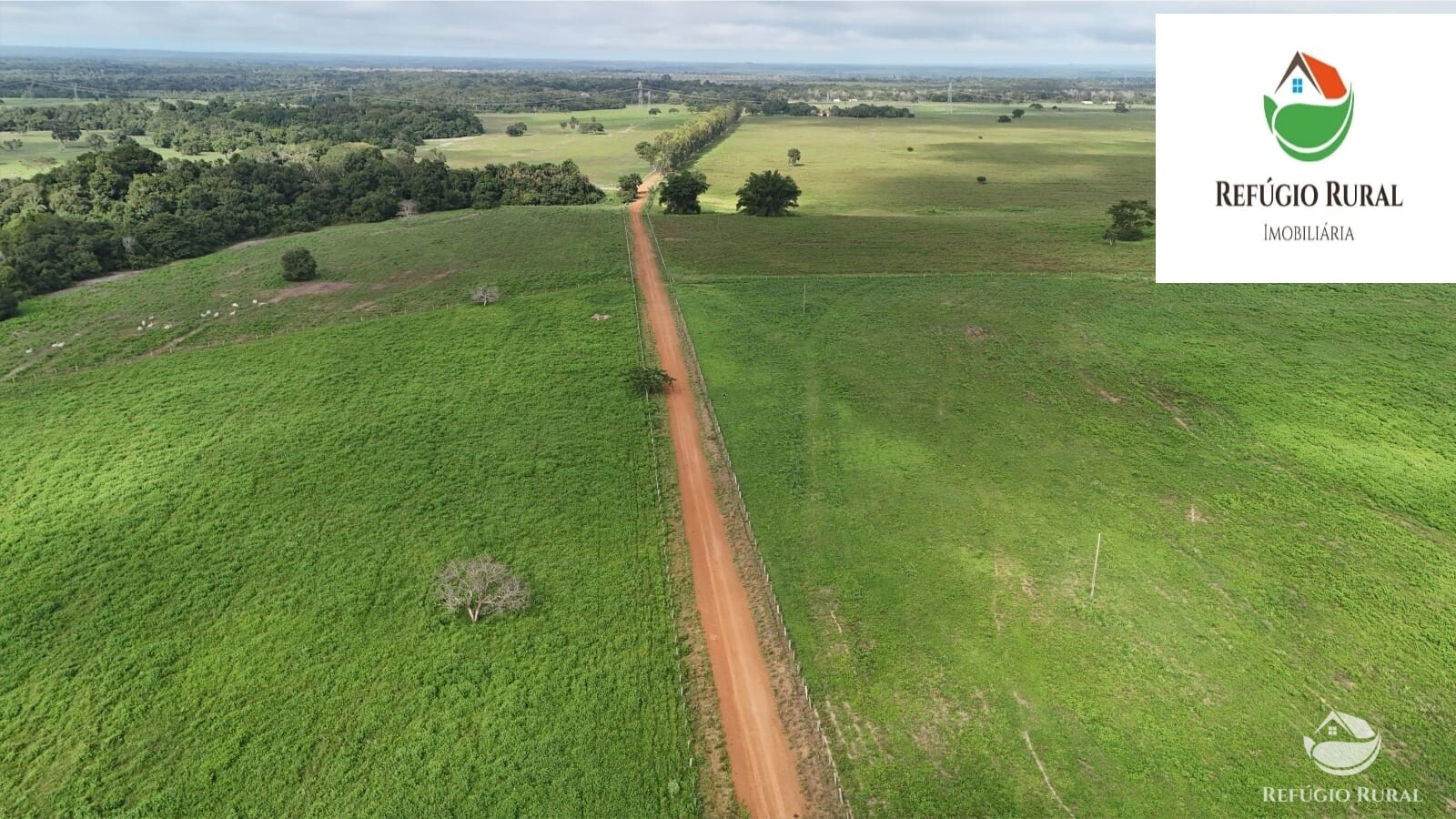 Fazenda à venda com 1 quarto, 22310000m² - Foto 4