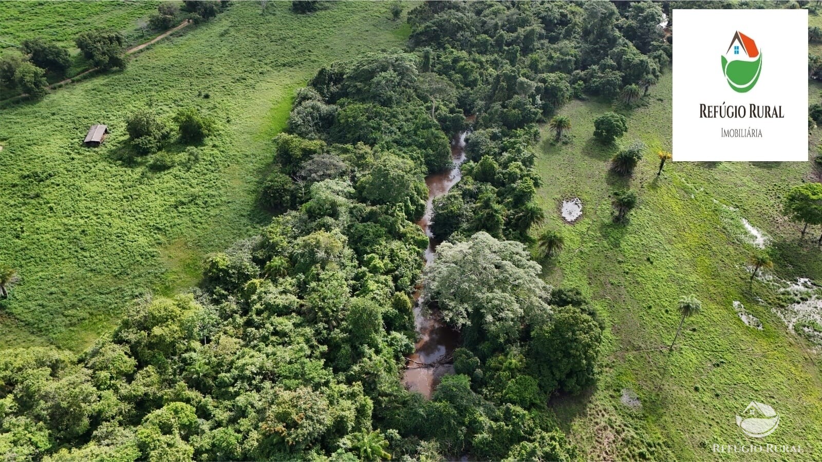 Fazenda à venda com 1 quarto, 22310000m² - Foto 9