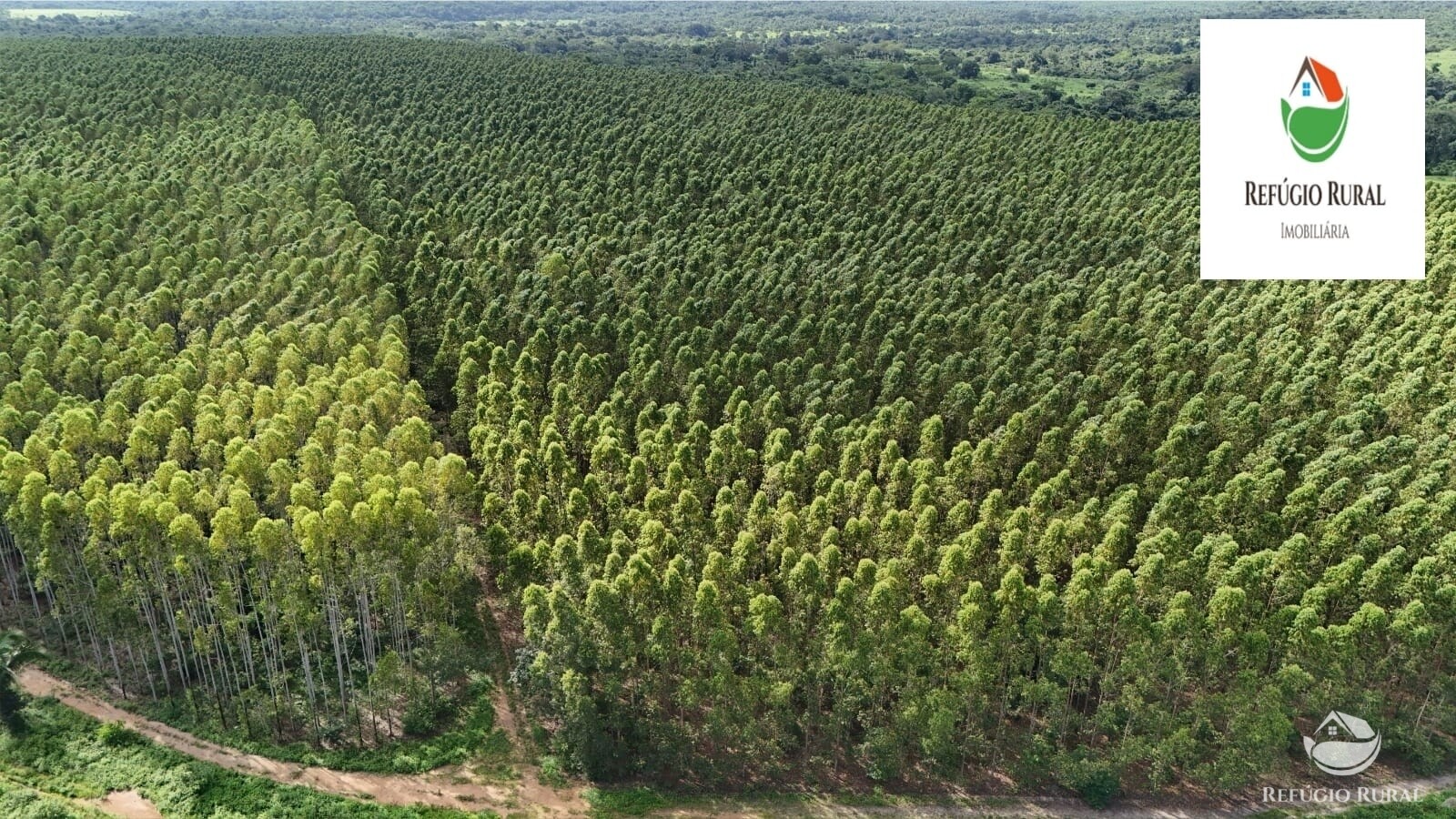 Fazenda à venda com 1 quarto, 22310000m² - Foto 8