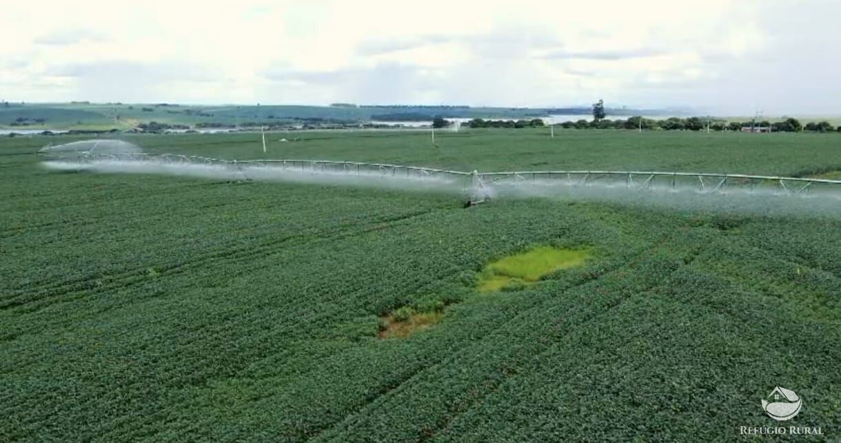 Fazenda-Sítio-Chácara, 1573 hectares - Foto 5