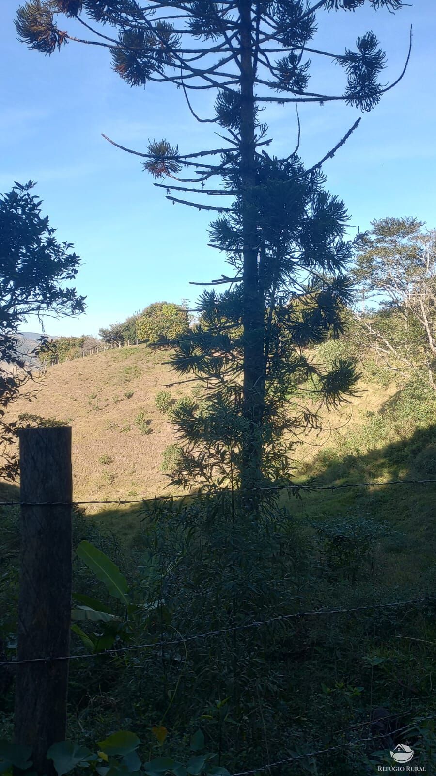 Fazenda à venda com 2 quartos, 169400m² - Foto 11