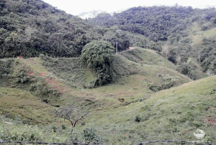 Fazenda à venda com 2 quartos, 169400m² - Foto 9