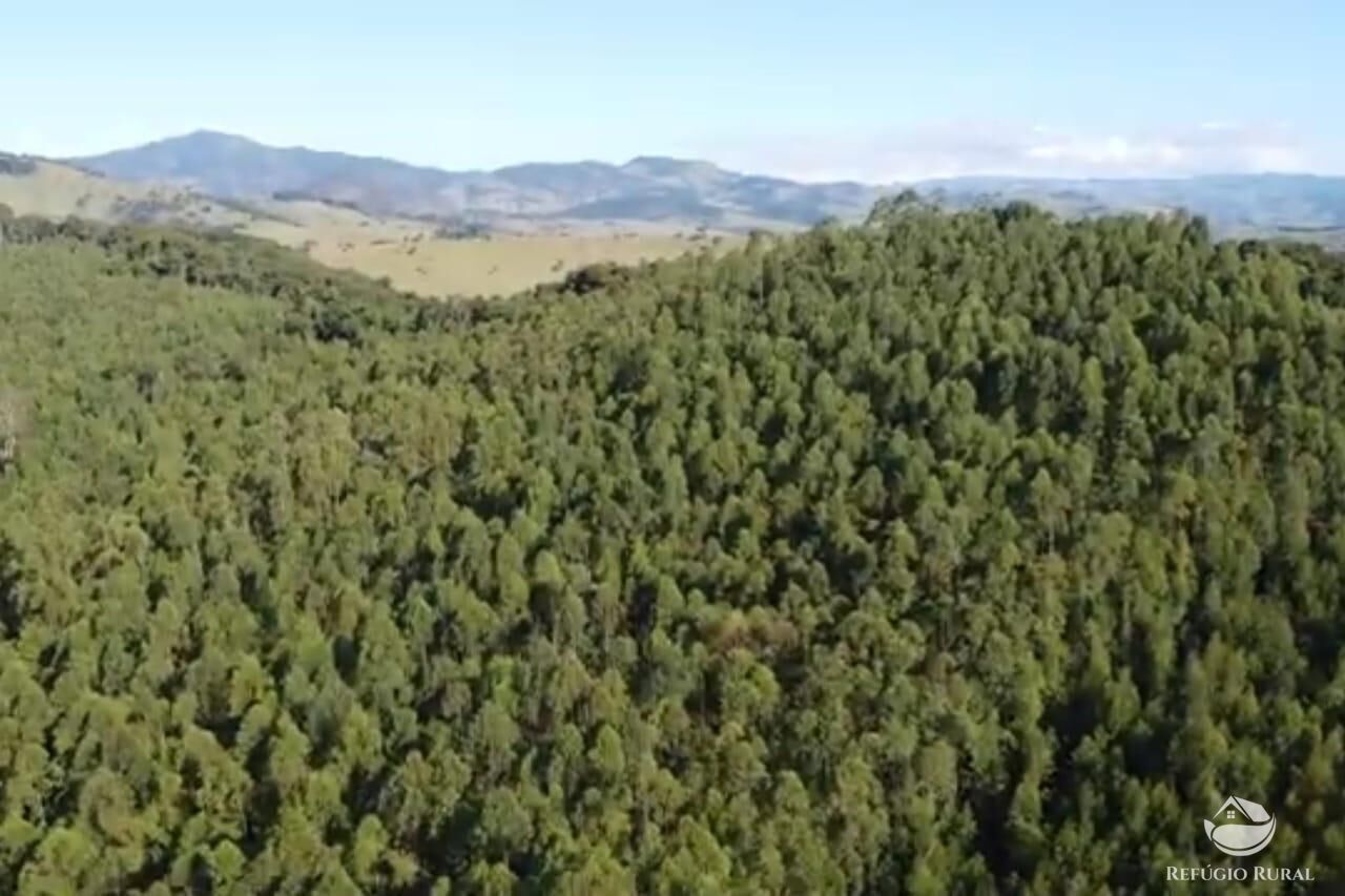 Sítio em Paraisópolis/Minas Gerais — Ref J33J66 — Imagem 14