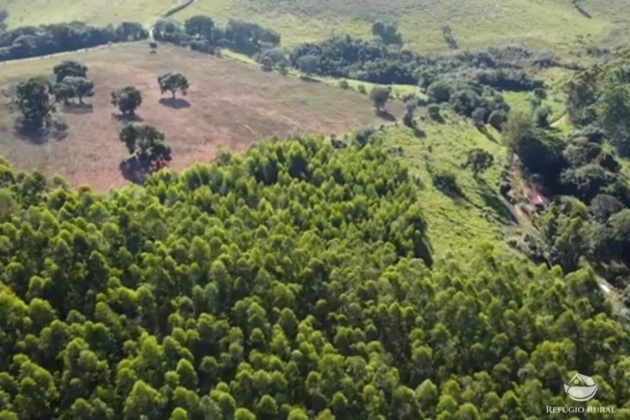 Sítio em Paraisópolis/Minas Gerais — Ref J33J66 — Imagem 2