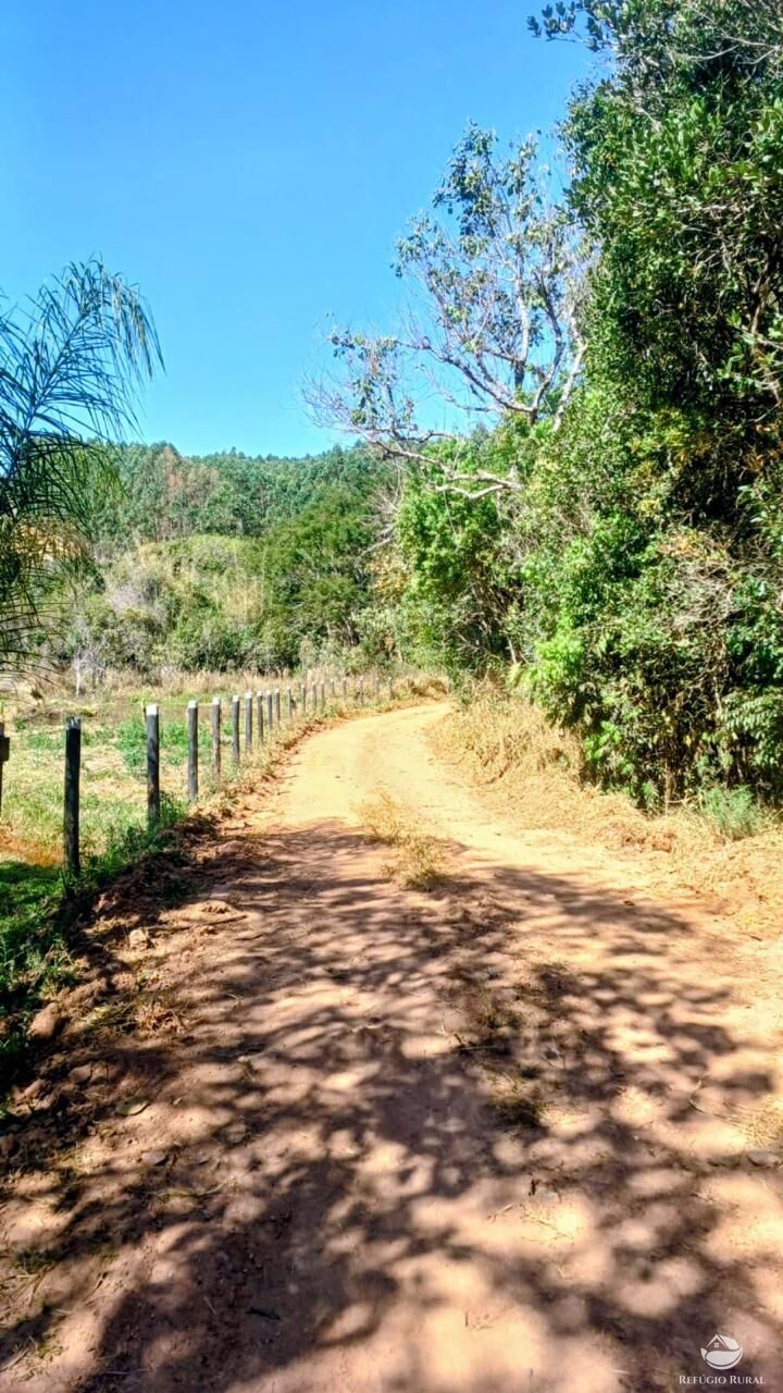 Sítio em Paraisópolis/Minas Gerais — Ref J33J66 — Imagem 3