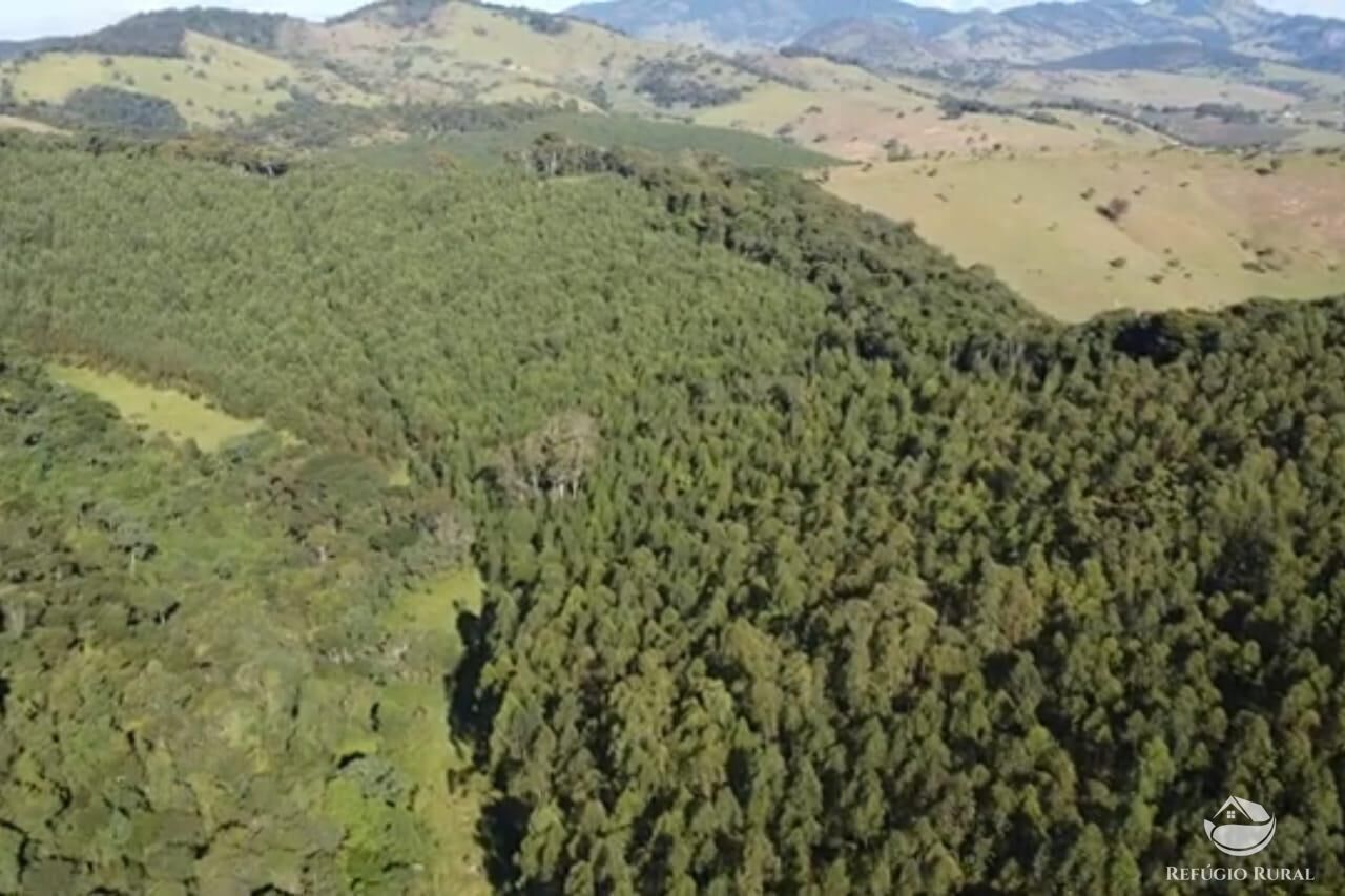 Sítio em Paraisópolis/Minas Gerais — Ref J33J66 — Imagem 9