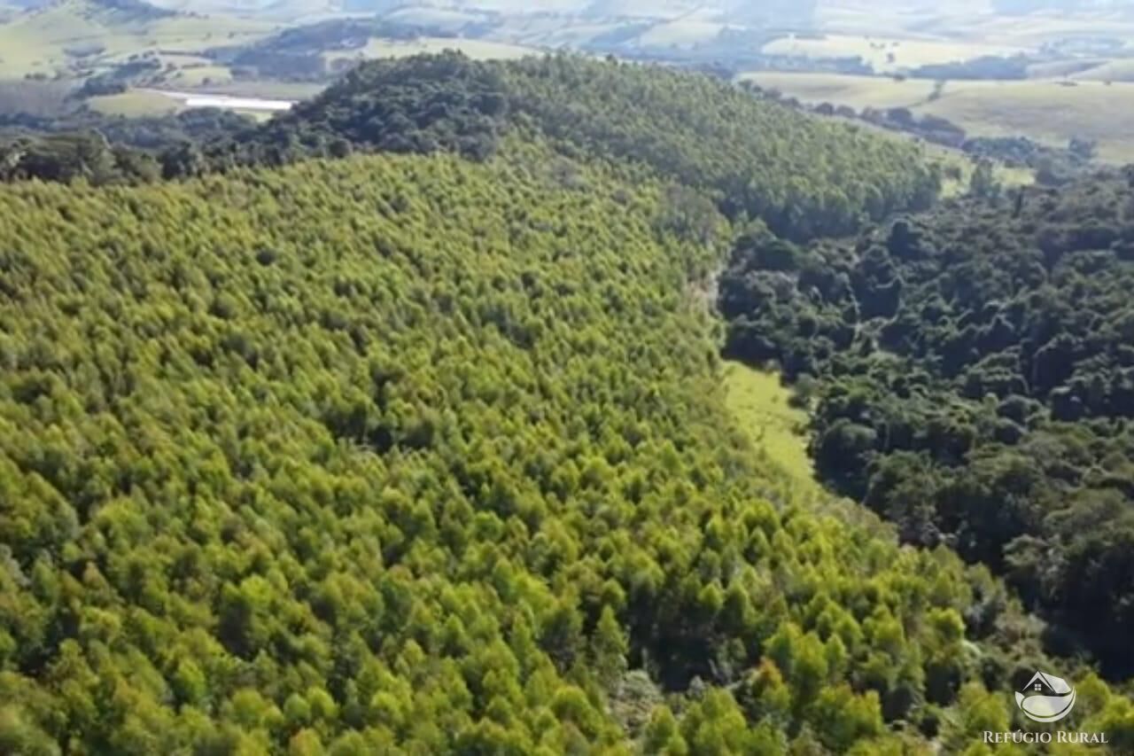 Sítio em Paraisópolis/Minas Gerais — Ref J33J66 — Imagem 10