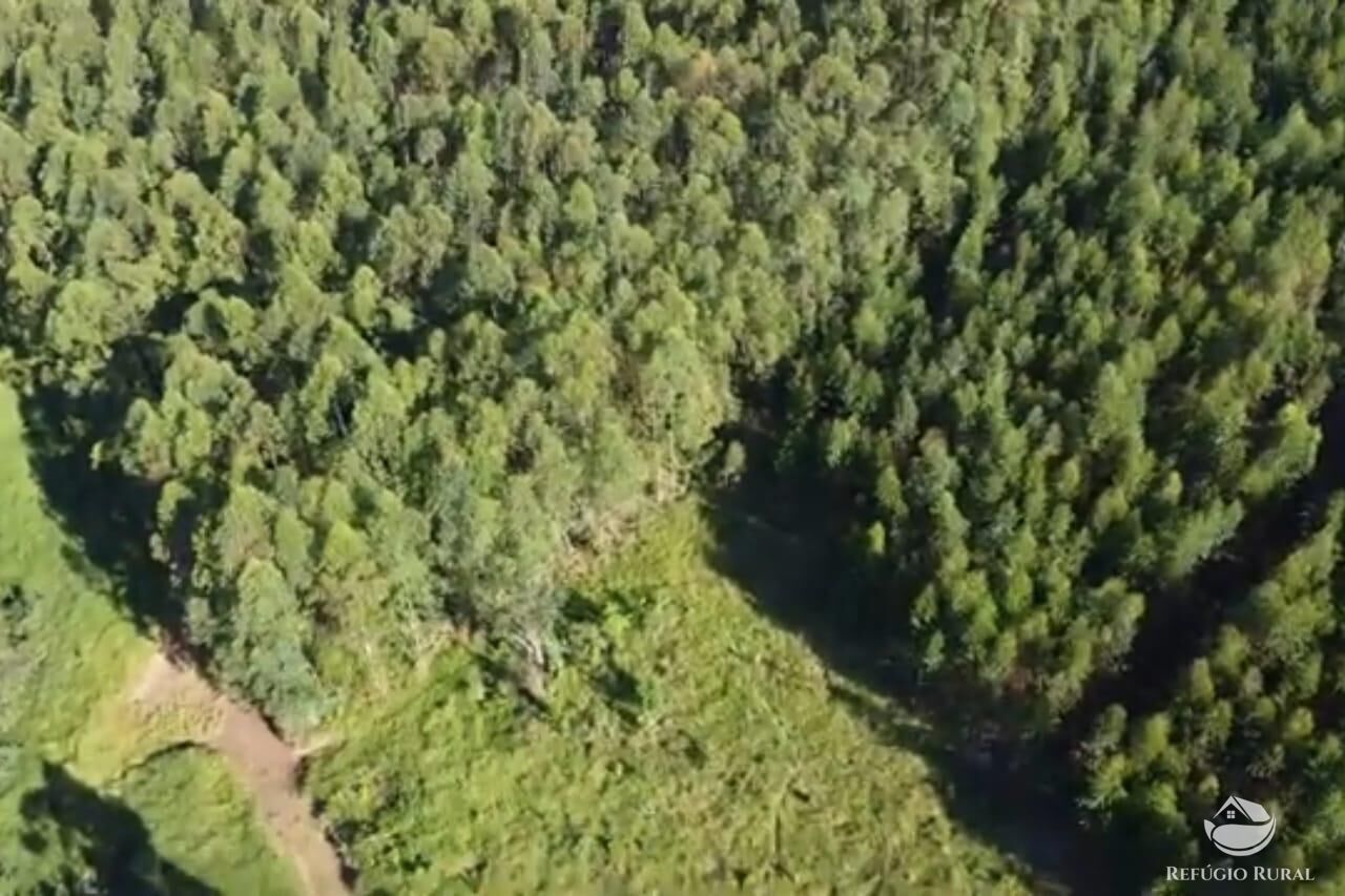 Sítio, 27 hectares - Foto 16