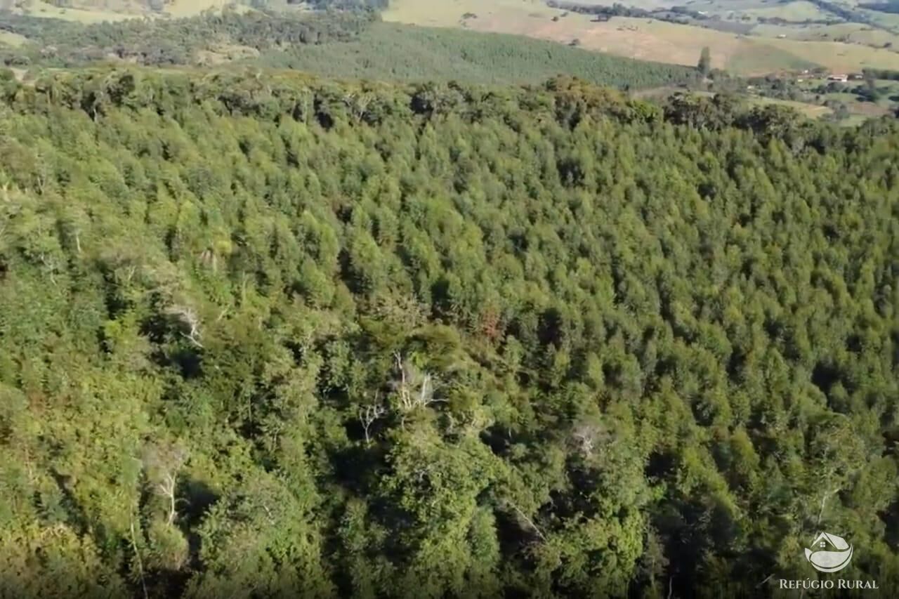 Sítio em Paraisópolis/Minas Gerais — Ref J33J66 — Imagem 13