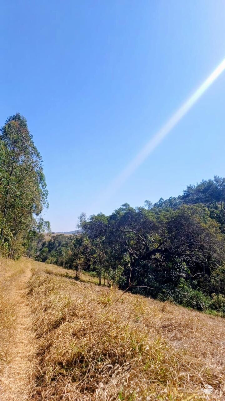 Sítio, 1 quarto, 27 hectares - Foto 5