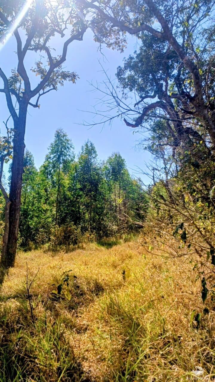 Sítio em Paraisópolis/Minas Gerais — Ref J33J66 — Imagem 5