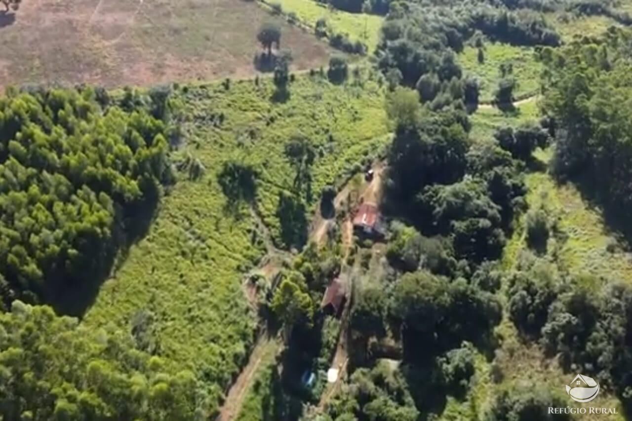 Sítio em Paraisópolis/Minas Gerais — Ref J33J66 — Imagem 8