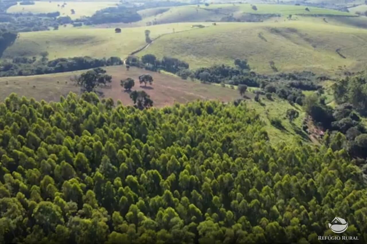 Sítio, 1 quarto, 27 hectares - Foto 4