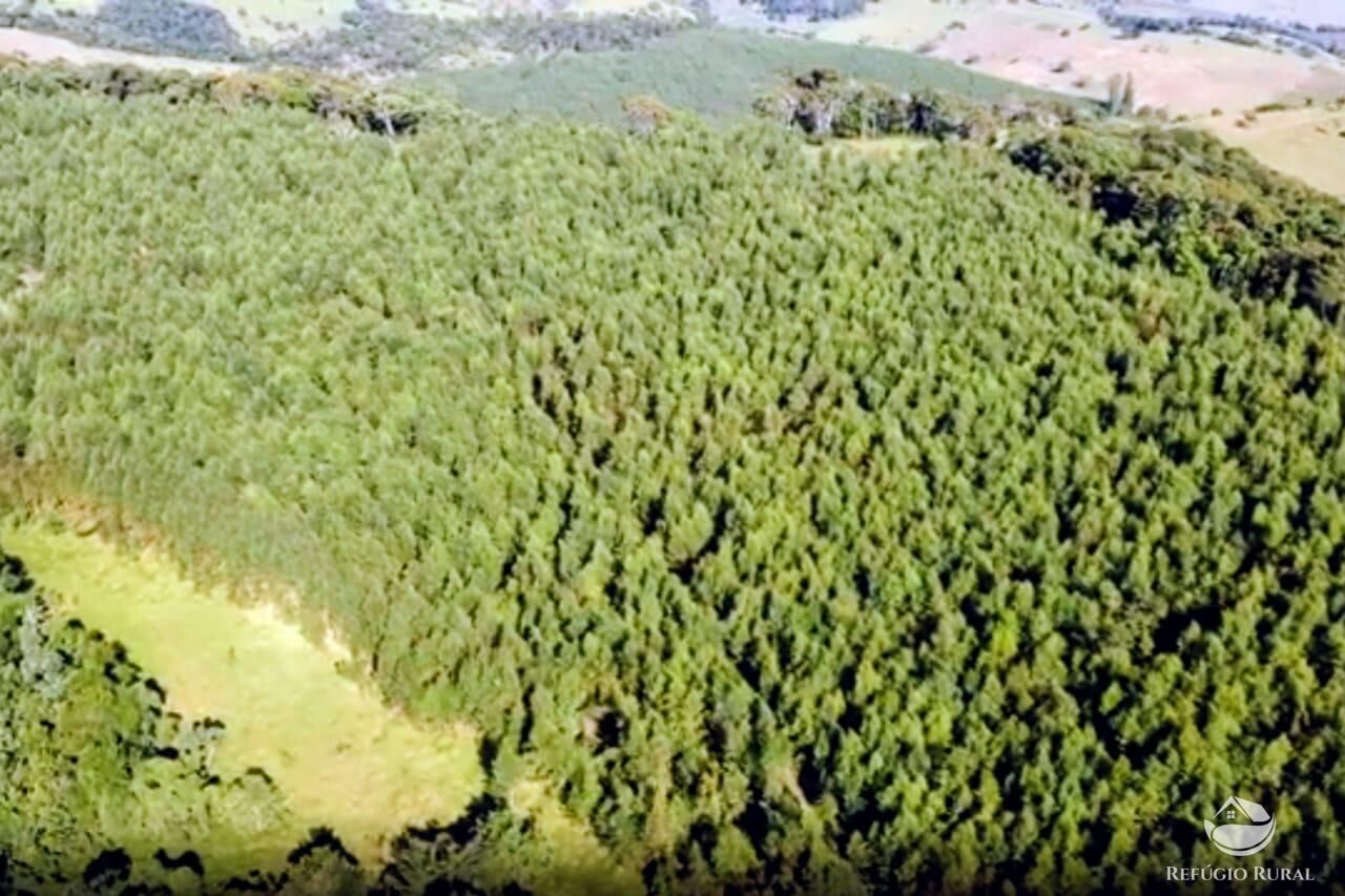 Sítio em Paraisópolis/Minas Gerais — Ref J33J66 — Imagem 12