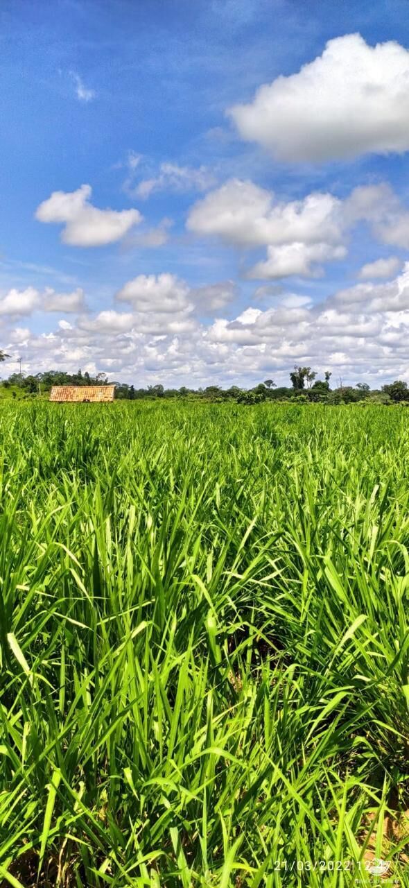 Fazenda à venda com 1 quarto, 37000000m² - Foto 3