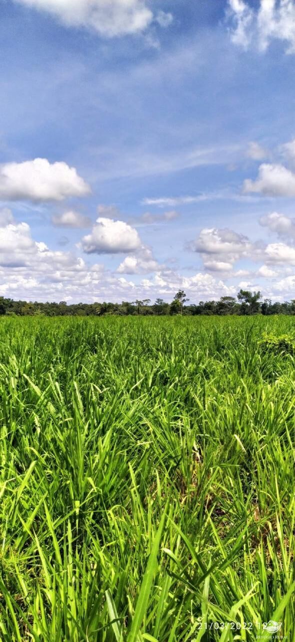 Fazenda à venda com 1 quarto, 37000000m² - Foto 4