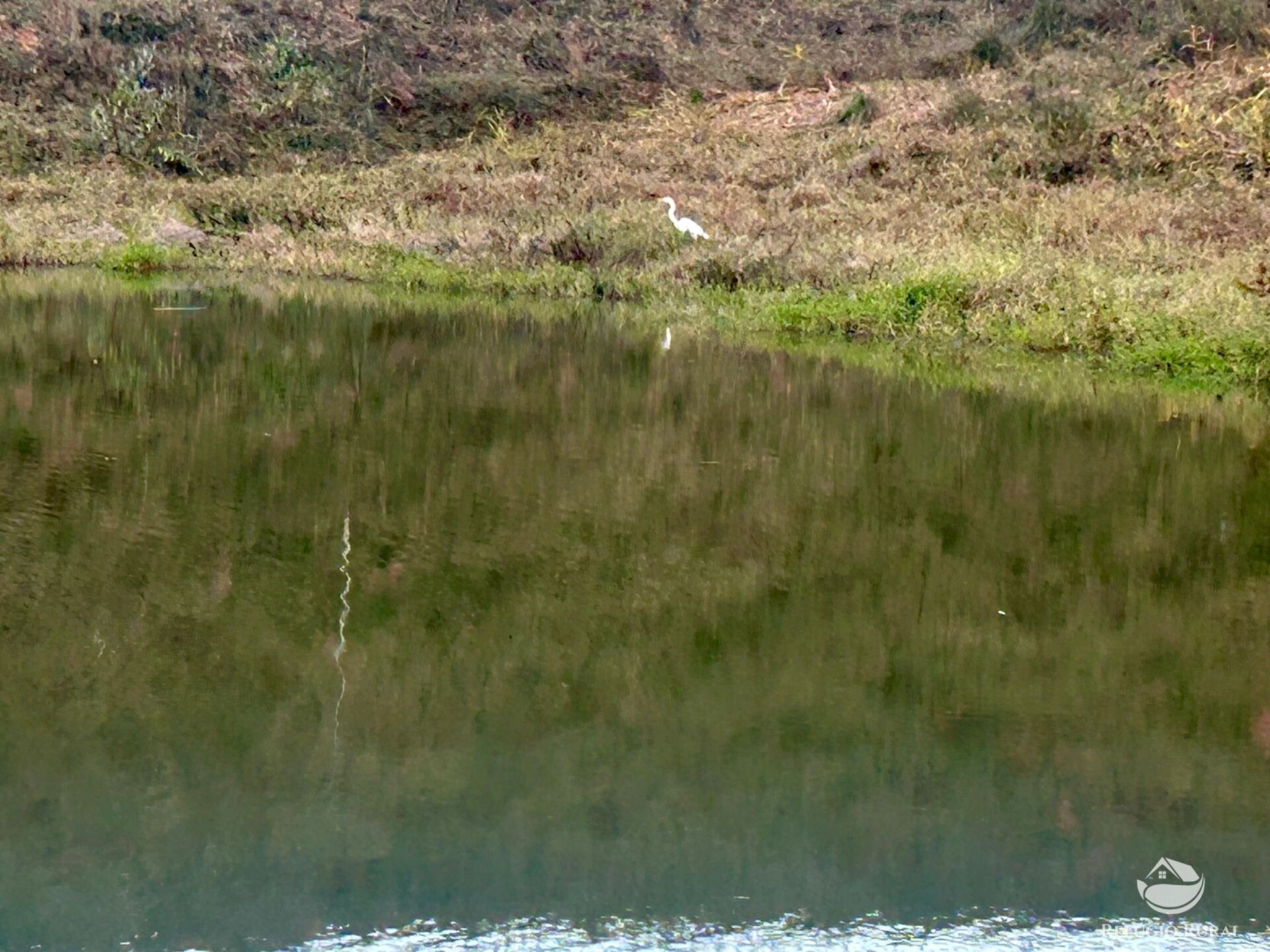Terreno, 2031 hectares - Foto 12
