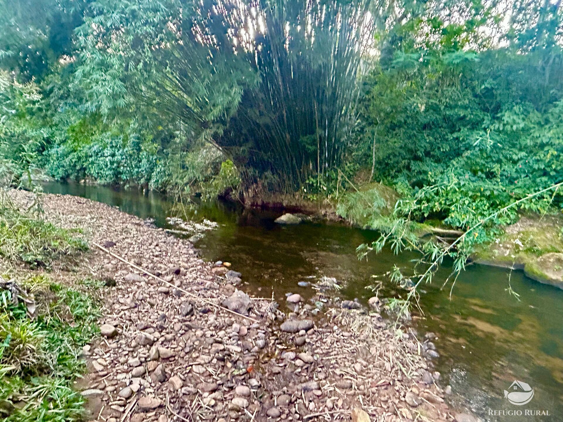 Terreno, 2031 hectares - Foto 18