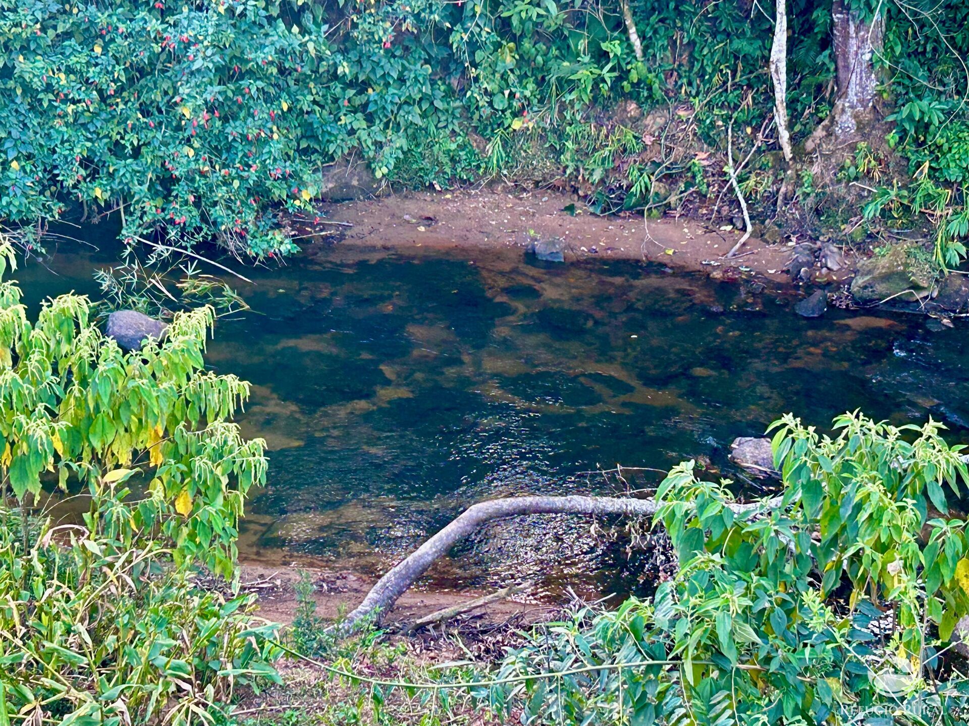 Terreno, 2031 hectares - Foto 14