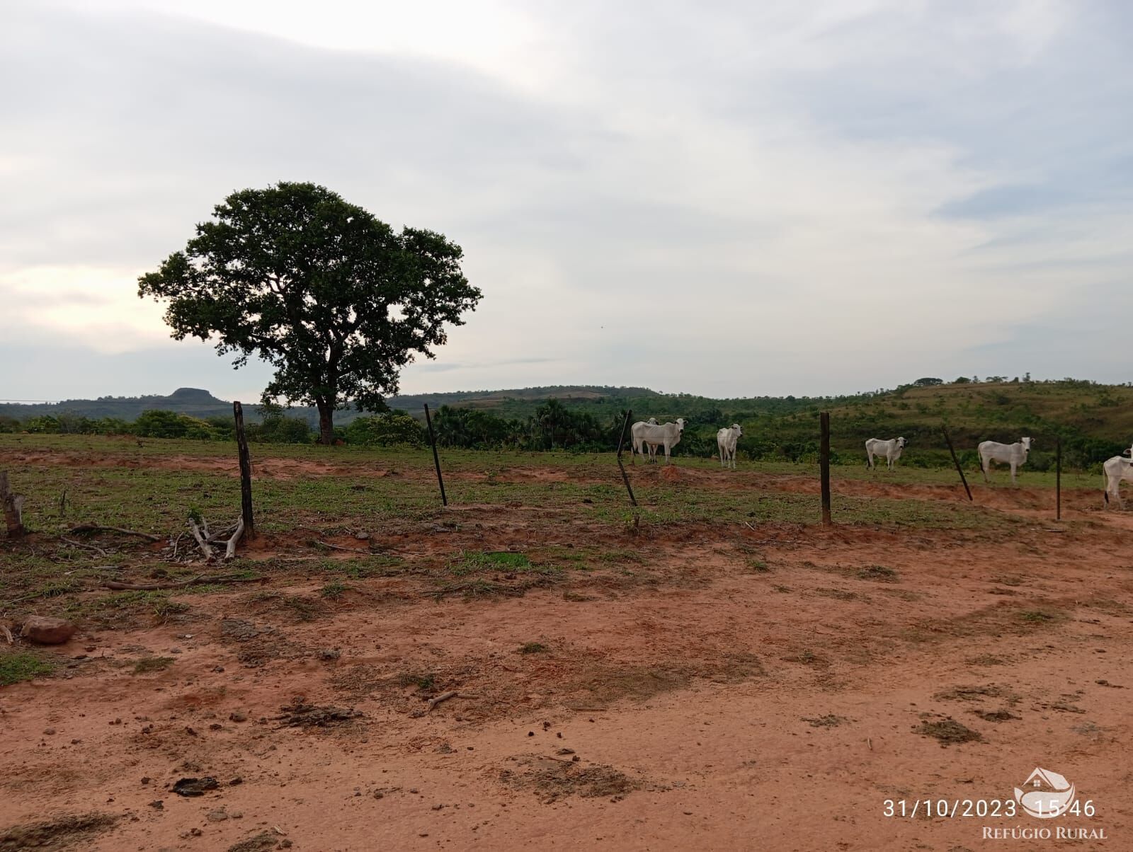 Fazenda à venda com 1 quarto, 3000000m² - Foto 2