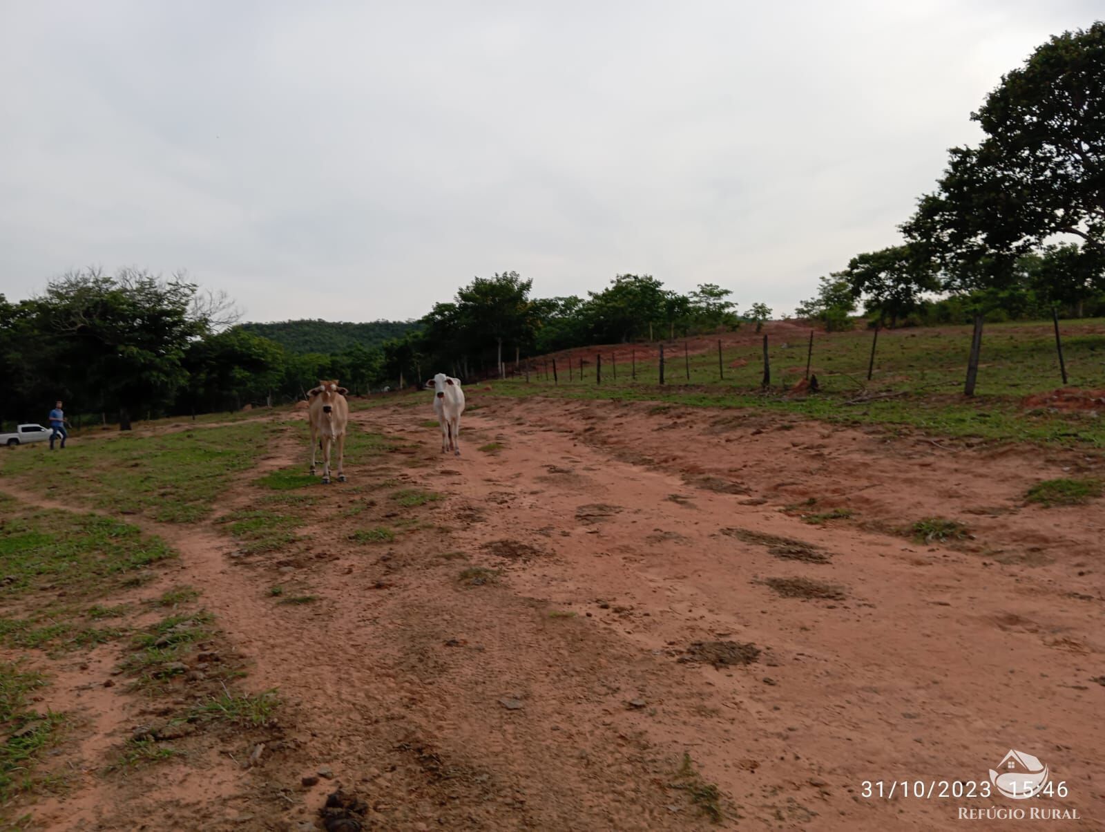 Fazenda à venda com 1 quarto, 3000000m² - Foto 11