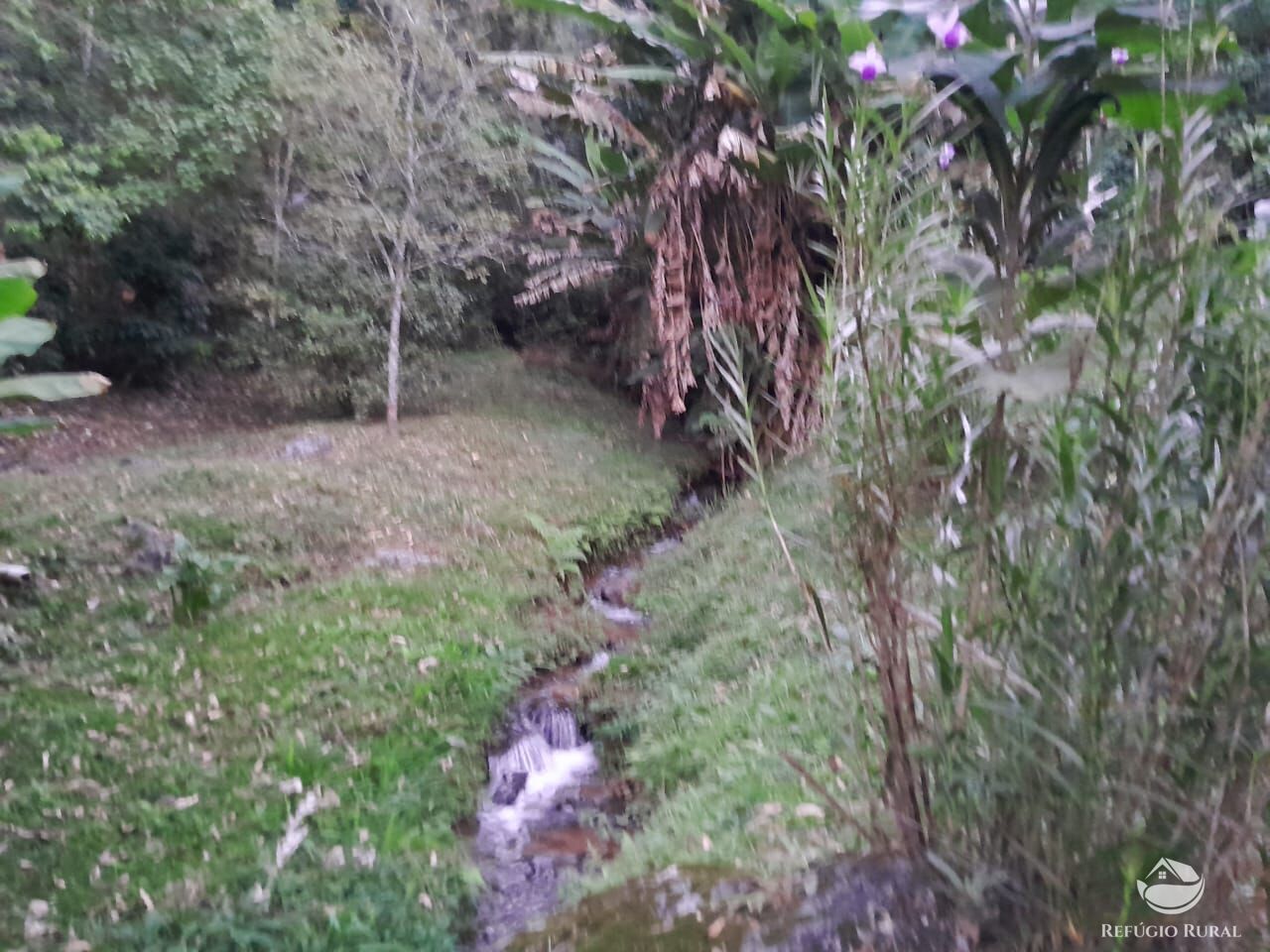 Fazenda à venda com 2 quartos, 3000m² - Foto 8