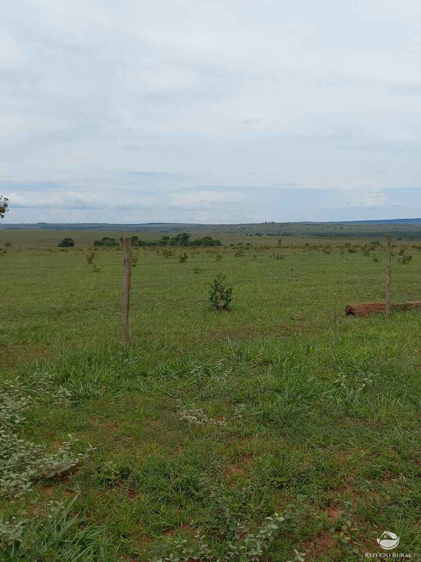 Fazenda à venda com 3 quartos, 15500000m² - Foto 9