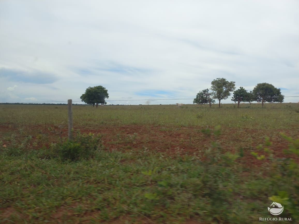 Fazenda à venda com 3 quartos, 15500000m² - Foto 5