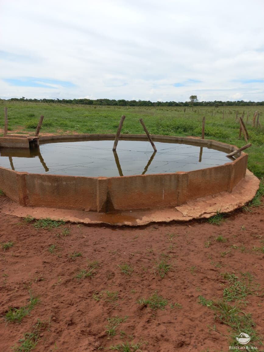 Fazenda à venda com 3 quartos, 15500000m² - Foto 12