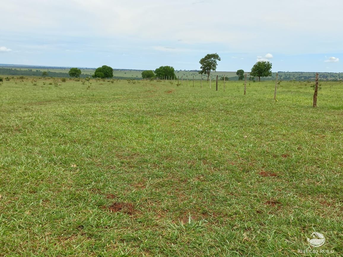 Fazenda à venda com 3 quartos, 15500000m² - Foto 2