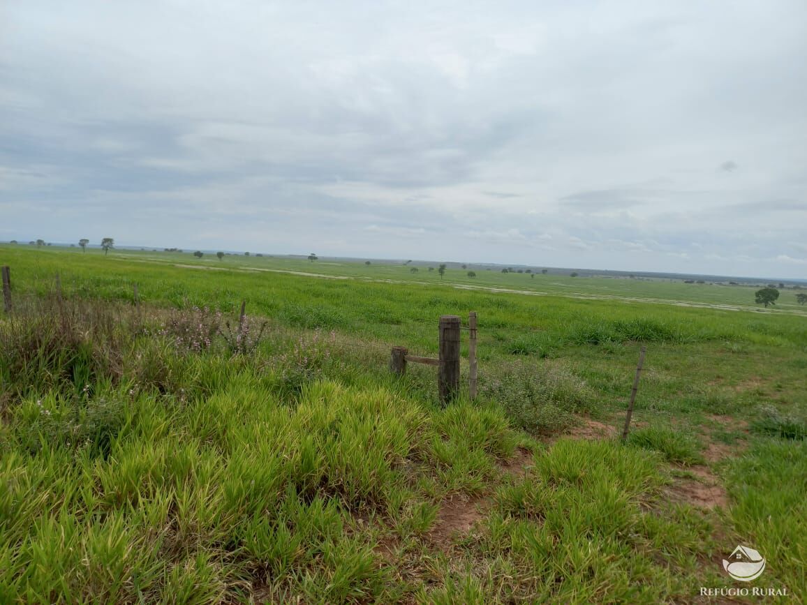 Fazenda à venda com 3 quartos, 15500000m² - Foto 7