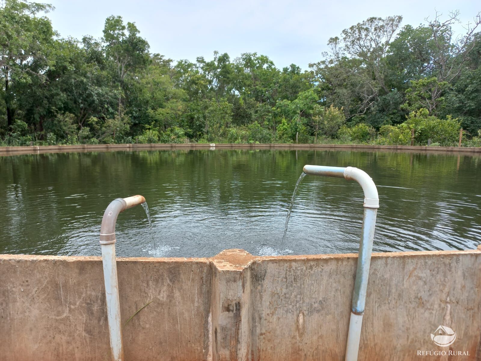 Fazenda à venda com 3 quartos, 15500000m² - Foto 4