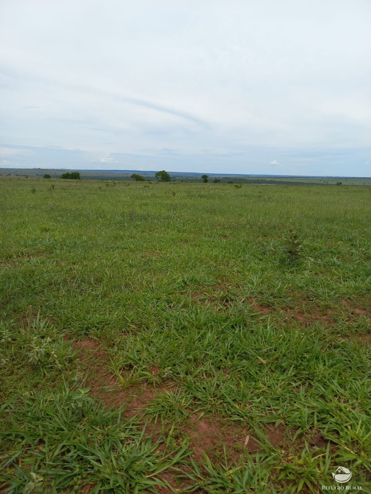 Fazenda à venda com 3 quartos, 15500000m² - Foto 11