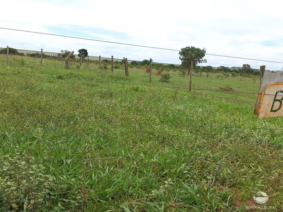 Fazenda à venda com 3 quartos, 15500000m² - Foto 10