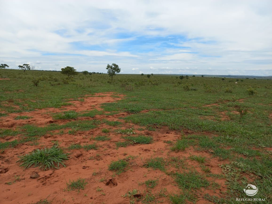 Fazenda à venda com 3 quartos, 15500000m² - Foto 8