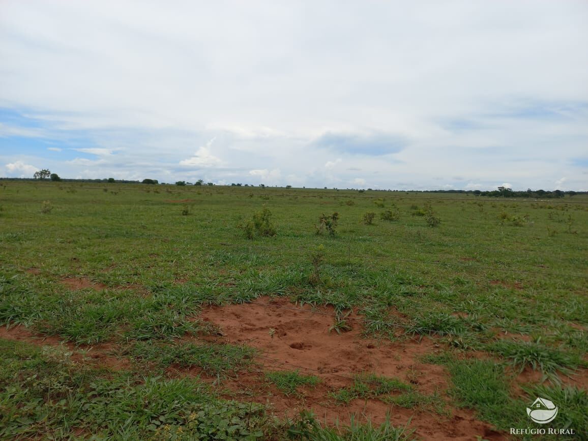 Fazenda à venda com 3 quartos, 15500000m² - Foto 6