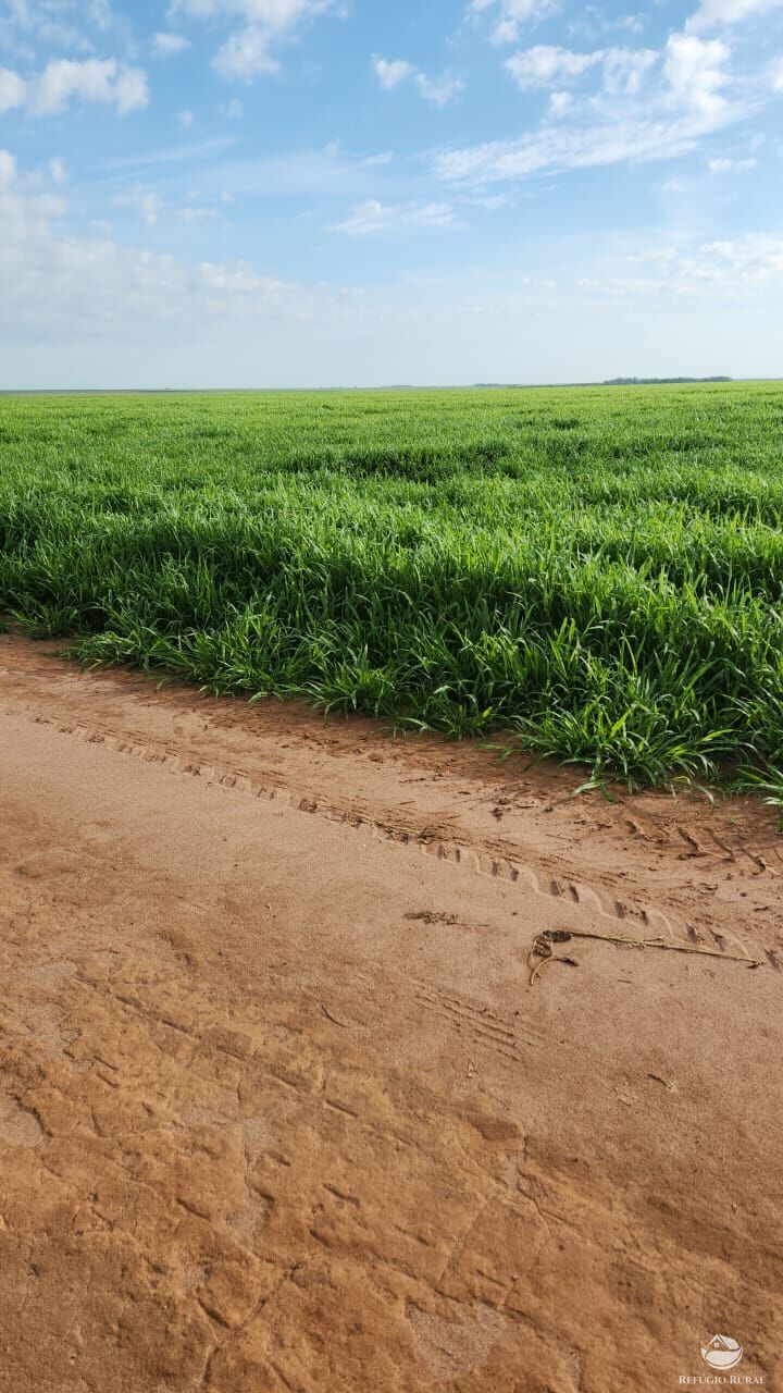 Fazenda à venda com 1 quarto, 35600000m² - Foto 6