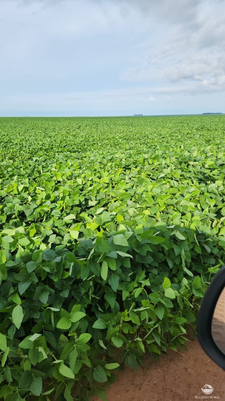 Fazenda à venda com 1 quarto, 35600000m² - Foto 1