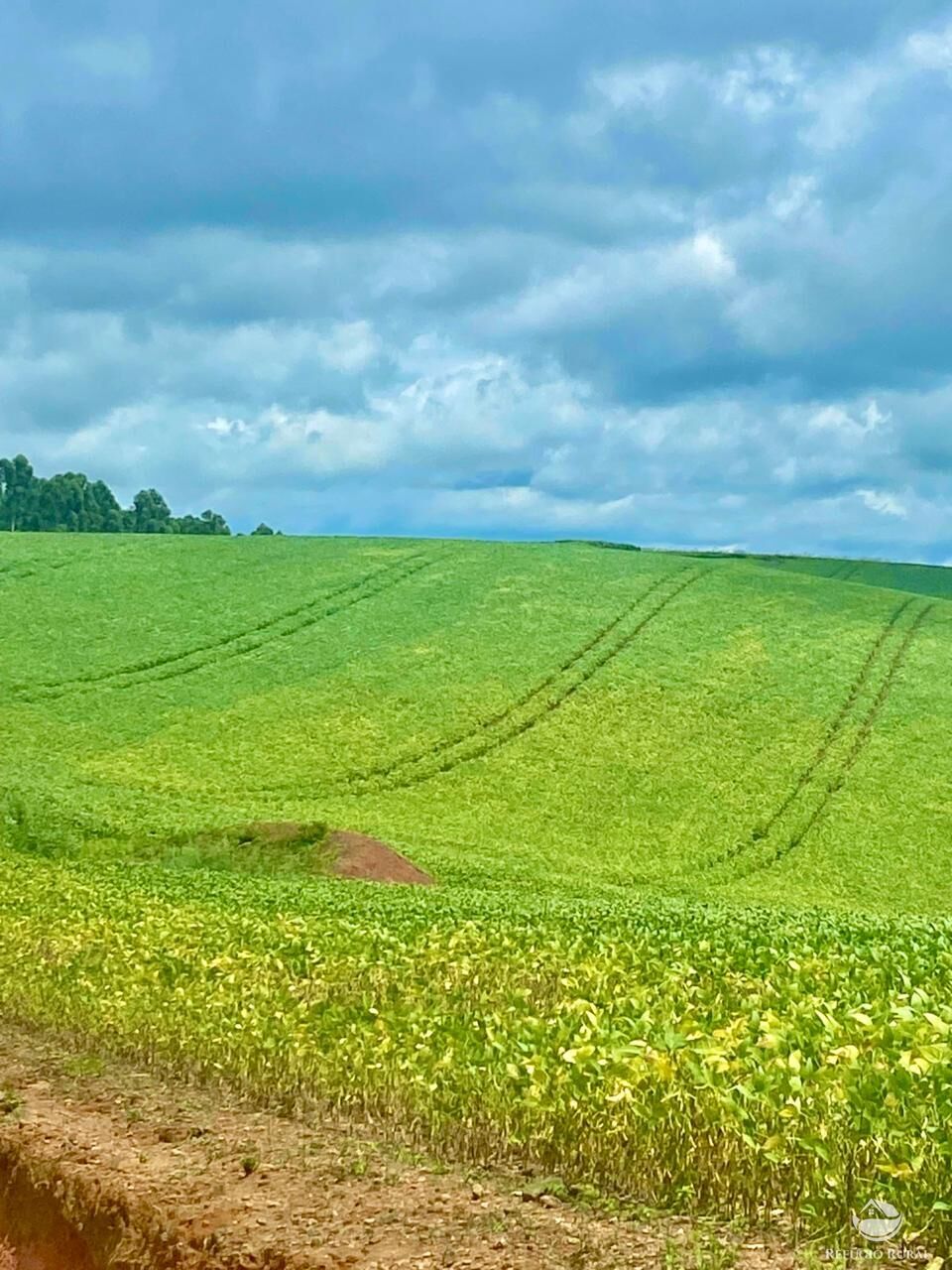 Fazenda à venda com 3 quartos, 5808000m² - Foto 16