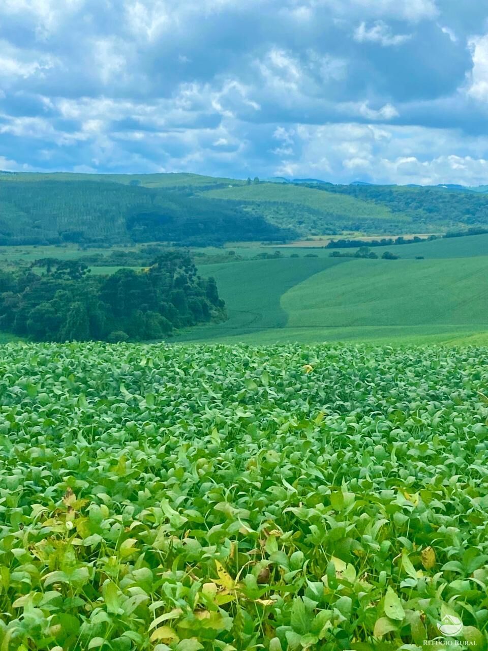 Fazenda à venda com 3 quartos, 5808000m² - Foto 19