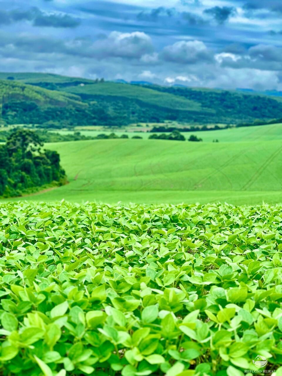 Fazenda à venda com 3 quartos, 5808000m² - Foto 3