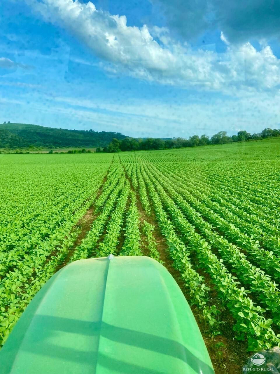Fazenda à venda com 3 quartos, 5808000m² - Foto 11