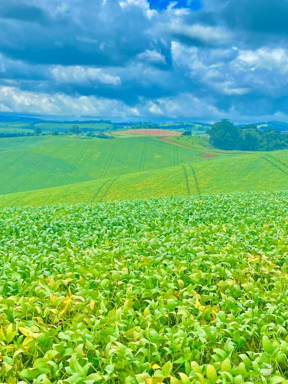 Fazenda à venda com 3 quartos, 5808000m² - Foto 21