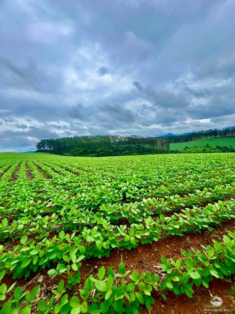 Fazenda à venda com 3 quartos, 5808000m² - Foto 4