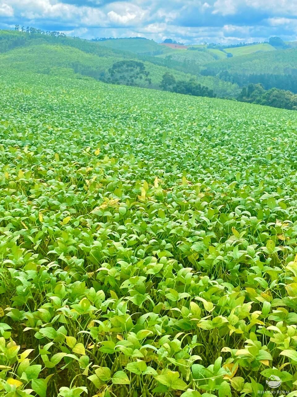 Fazenda à venda com 3 quartos, 5808000m² - Foto 12