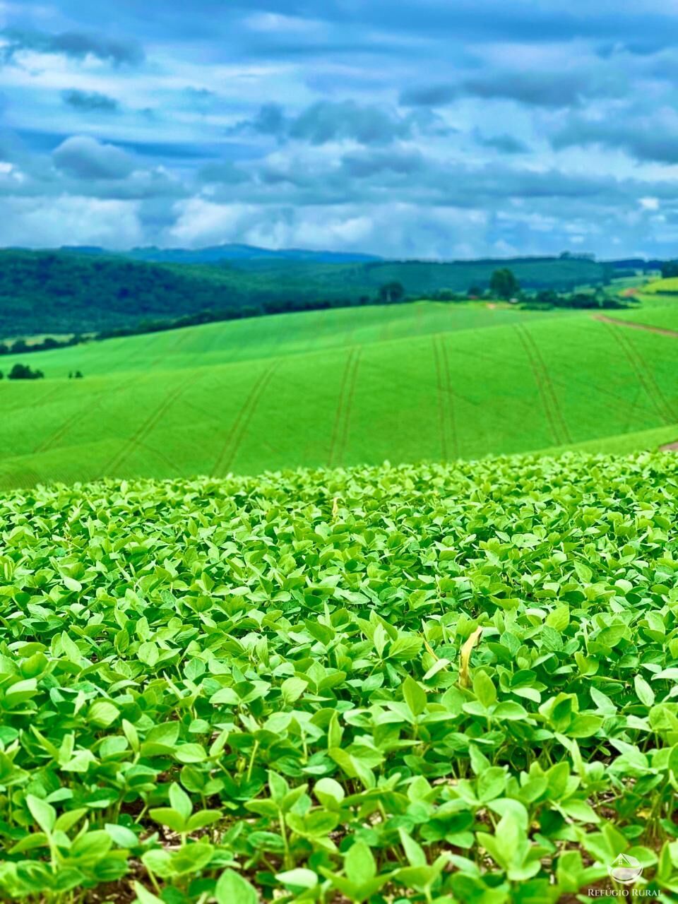 Fazenda à venda com 3 quartos, 5808000m² - Foto 6