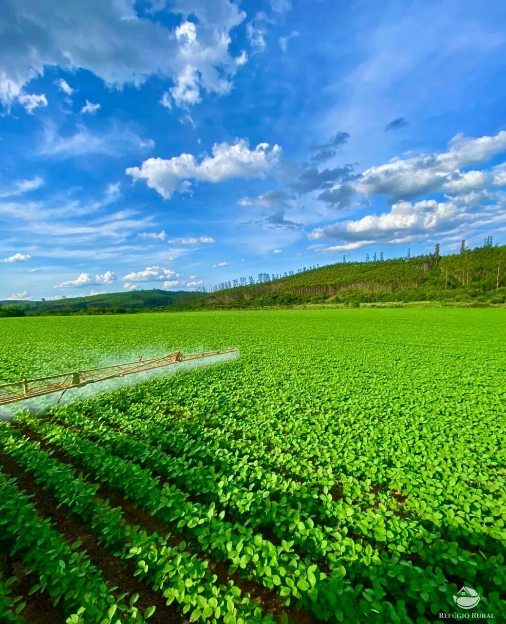 Fazenda à venda com 3 quartos, 5808000m² - Foto 1