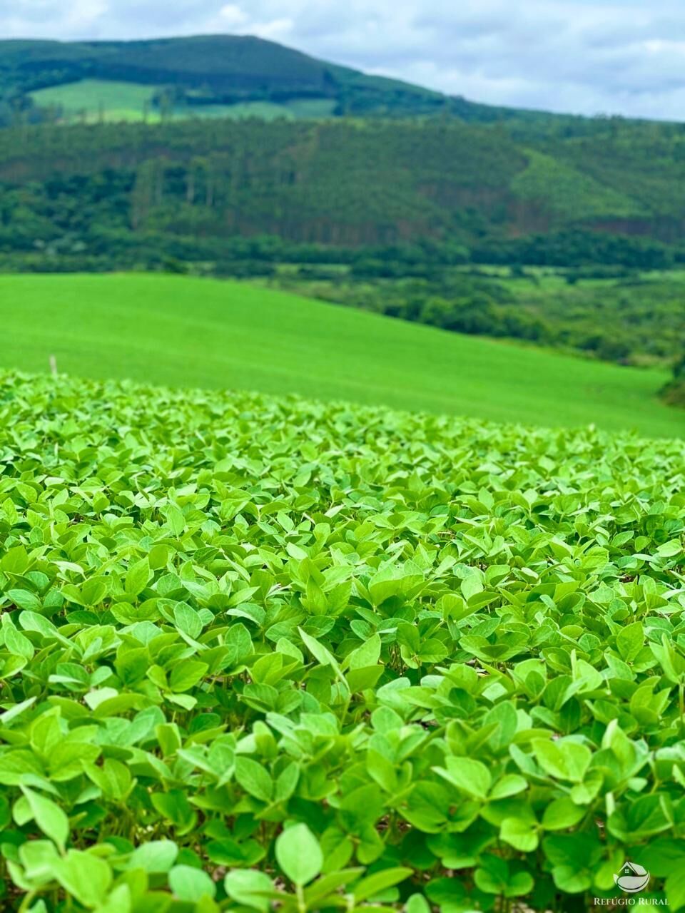 Fazenda à venda com 3 quartos, 5808000m² - Foto 7